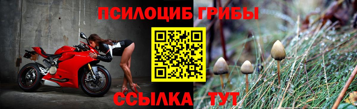 Псилоцибиновые грибы MAGIC MUSHROOMS Сочи